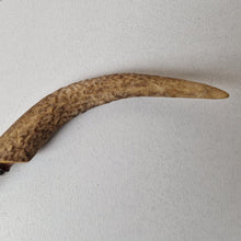 Load image into Gallery viewer, Antique Table Spoon with Antler Horn Handle 23cm long