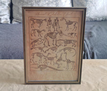 Load image into Gallery viewer, Vintage Style Animal Skeleton Chart Print in A4 Wooden Frame with Gold Border – Natural History Wall