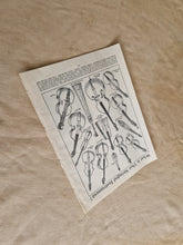 Load image into Gallery viewer, Stringed Musical Instruments Image Illustrations Vintage Drawing Image Book Plate, What is That Str