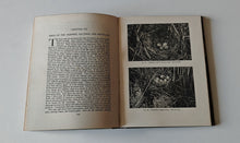 Load image into Gallery viewer, Nature by Day by Arthur R. Thompson 1934 Reprint Vintage Wildlife Book