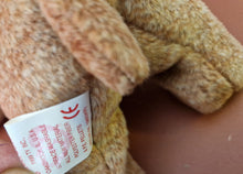Load image into Gallery viewer, TY Beanie Baby Bean bag Plush Soft Toy Pecan Bear Retired 1999 With Tag Vintage