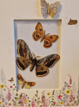 Load image into Gallery viewer, Vintage Print Moth Butterfly Cut-out Decoupage Floral Picture Frame Wooden Frame