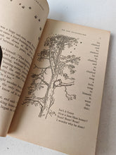 Load image into Gallery viewer, Winnie-the-Pooh by A.A. Milne 1966 Methuen & Co Illustrated by E.H. Shepard Book