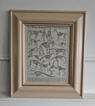 Load image into Gallery viewer, Vintage Framed Skeleton Print To What Animal Did That Skeleton Belong? Educational Zoological Anatom