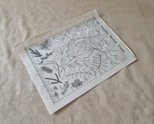 Load image into Gallery viewer, Vintage Book Plate: Botanical Leaf Leaves Illustrations All the Familiar British Trees Ideal for fra