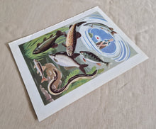 Load image into Gallery viewer, Vintage Illustrated Book Plate Page Colour Lithograph Print 2 School Girl Talking To A Old Woman & G