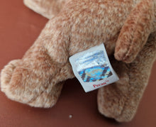 Load image into Gallery viewer, TY Beanie Baby Bean bag Plush Soft Toy Pecan Bear Retired 1999 With Tag Vintage