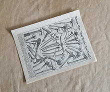Load image into Gallery viewer, Battle Axe Image Illustrations Vintage Drawing Image Book Plate, Where Was That Battle-Axe Used? Old