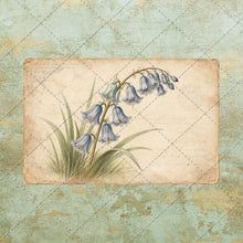 Load image into Gallery viewer, Vintage Floral Postcards PNG – Antique Botanical Ephemera Set Shabby Chic Flower Post Card Images, Printable Junk Journal, Scrapbooking