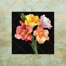 Load image into Gallery viewer, 30 Flowers Square Images on color background Clipart Digital Stock image for Junk Journals, Scrapbooking, Card Making , Digital Download