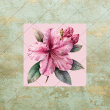 Load image into Gallery viewer, 30 Flowers Square Images on color background Clipart Digital Stock image for Junk Journals, Scrapbooking, Card Making , Digital Download