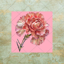 Load image into Gallery viewer, 30 Flowers Square Images on color background Clipart Digital Stock image for Junk Journals, Scrapbooking, Card Making , Digital Download