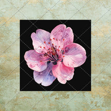 Load image into Gallery viewer, 30 Flowers Square Images on color background Clipart Digital Stock image for Junk Journals, Scrapbooking, Card Making , Digital Download