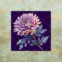 Load image into Gallery viewer, 30 Flowers Square Images on color background Clipart Digital Stock image for Junk Journals, Scrapbooking, Card Making , Digital Download