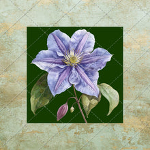 Load image into Gallery viewer, 30 Flowers Square Images on color background Clipart Digital Stock image for Junk Journals, Scrapbooking, Card Making , Digital Download