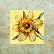 Load image into Gallery viewer, 30 Flowers Square Images on color background Clipart Digital Stock image for Junk Journals, Scrapbooking, Card Making , Digital Download