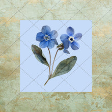Load image into Gallery viewer, 30 Flowers Square Images on color background Clipart Digital Stock image for Junk Journals, Scrapbooking, Card Making , Digital Download