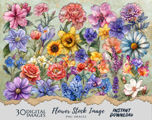 Load image into Gallery viewer, 30 Flowers PNG Images, Fussy Cut Clipart, Digital Stickers for Note Apps, Junk Journals, Scrapbooking, Digital Download