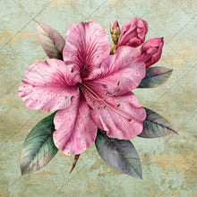Load image into Gallery viewer, 30 Flowers PNG Images, Fussy Cut Clipart, Digital Stickers for Note Apps, Junk Journals, Scrapbooking, Digital Download