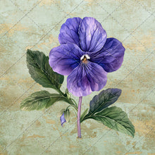Load image into Gallery viewer, 30 Flowers PNG Images, Fussy Cut Clipart, Digital Stickers for Note Apps, Junk Journals, Scrapbooking, Digital Download
