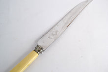 Load image into Gallery viewer, Vintage  Kitchen Cutting  Knife with Stainless Steel  Blade and Plastic Handle 1980s