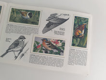 Load image into Gallery viewer, Brooke Bond Tea Picture Card Album - Wild Birds In Britain , complete album
