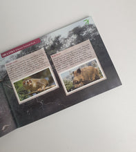 Load image into Gallery viewer, PG Tips Tea Picture Card Album - Natural Neighbours, Wild Life In Tea Growing lands, complete album