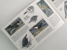 Load image into Gallery viewer, Brooke Bond Tea Picture Card Album - Wild Birds In Britain , complete album