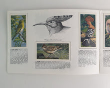 Load image into Gallery viewer, Brooke Bond Tea Picture Card Album - Wild Birds In Britain , complete album