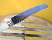 Load image into Gallery viewer, Vintage Set 5 Faux Bone Handle Dinner Knives - Dawson of Sheffield - 18cm Long