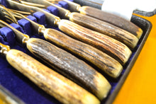 Load image into Gallery viewer, Set of 6 Steak knives and forks with antler handles, approx age from 1970's, gold plated, in box