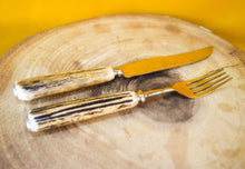 Load image into Gallery viewer, Steak knife and fork set with antler handles, approx age from 1970's, 1 knife, 1 fork