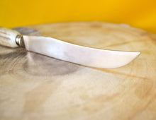 Load image into Gallery viewer, Steak knife and fork set with antler handles, approx age from 1970's, 1 knife, 1 fork