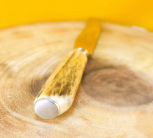 Load image into Gallery viewer, Steak knife and fork set with antler handles, approx age from 1970's, 1 knife, 1 fork