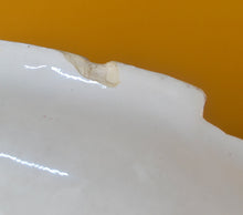 Load image into Gallery viewer, Vintage Carlton Ware Apple Blossom pale green leaf shaped bowl dish 24 cm