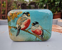 Load image into Gallery viewer, Antique Full-Colour Tin by Bluebird Toffee of England: 'TWO SONGBIRDS'
