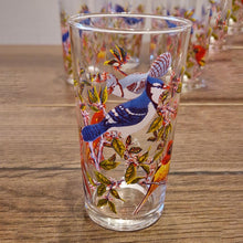 Load image into Gallery viewer, Vintage Bird-Themed Glasses Set Retro 10 Piece Drinks Set