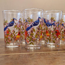 Load image into Gallery viewer, Vintage Bird-Themed Glasses Set Retro 10 Piece Drinks Set