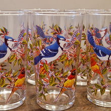 Load image into Gallery viewer, Vintage Bird-Themed Glasses Set Retro 10 Piece Drinks Set
