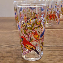 Load image into Gallery viewer, Vintage Bird-Themed Glasses Set Retro 10 Piece Drinks Set