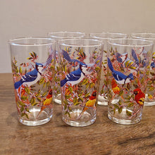Load image into Gallery viewer, Vintage Bird-Themed Glasses Set Retro 10 Piece Drinks Set