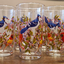 Load image into Gallery viewer, Vintage Bird-Themed Glasses Set Retro 10 Piece Drinks Set