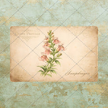 Load image into Gallery viewer, Antique Floral Postcard Bundle PNG | Vintage Botanical Clipart Set | Junk Journal Ephemera | Printable Shabby Chic Flower Images