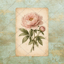Load image into Gallery viewer, Antique Floral Postcard Bundle PNG | Vintage Botanical Clipart Set | Junk Journal Ephemera | Printable Shabby Chic Flower Images