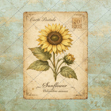 Load image into Gallery viewer, Antique Floral Postcard Bundle PNG | Vintage Botanical Clipart Set | Junk Journal Ephemera | Printable Shabby Chic Flower Images