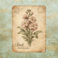 Load image into Gallery viewer, Antique Floral Postcard Bundle PNG | Vintage Botanical Clipart Set | Junk Journal Ephemera | Printable Shabby Chic Flower Images
