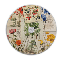 Load image into Gallery viewer, Vintage Botanical PDF Magazines & Images Huge Collection On DVD-ROM