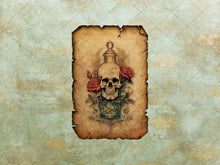 Load image into Gallery viewer, Halloween Stock Images Collection on DVD-ROM
