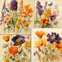 Load image into Gallery viewer, Vintage Botanical PDF Magazines & Images Huge Collection On DVD-ROM