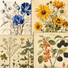 Load image into Gallery viewer, Vintage Botanical PDF Magazines & Images Huge Collection On DVD-ROM